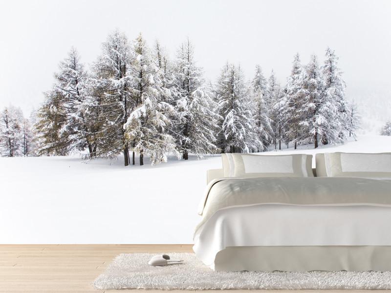 Winter woods Wall Mural-Wall Mural-Eazywallz