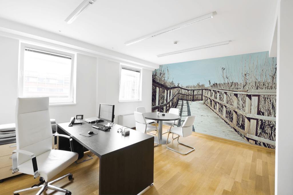 Wood Path in Field Wall Mural-Wall Mural-Eazywallz