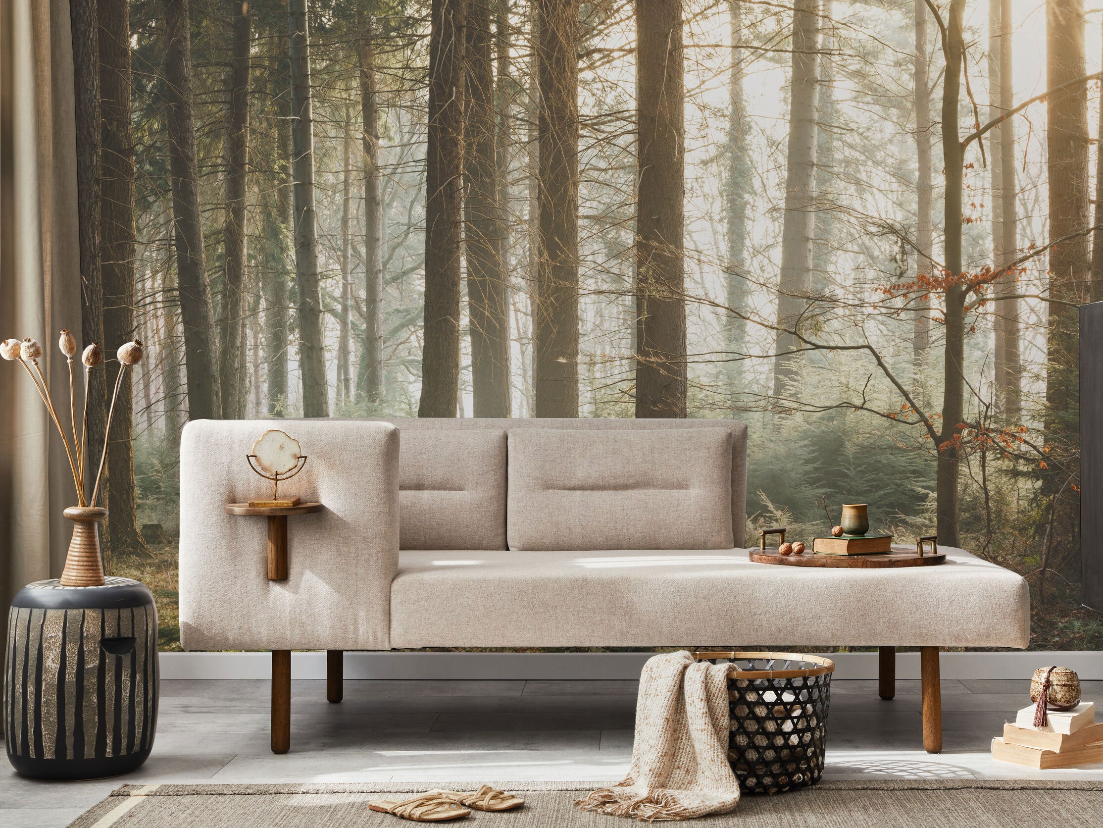 Early Morning Sun Light Forest Wall Mural