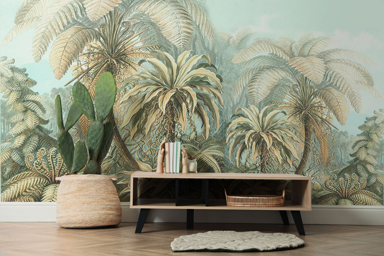 Filicinae Ferns 1904