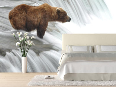 grizzly bear waiting for lunch Wall Mural-Wall Mural-Eazywallz