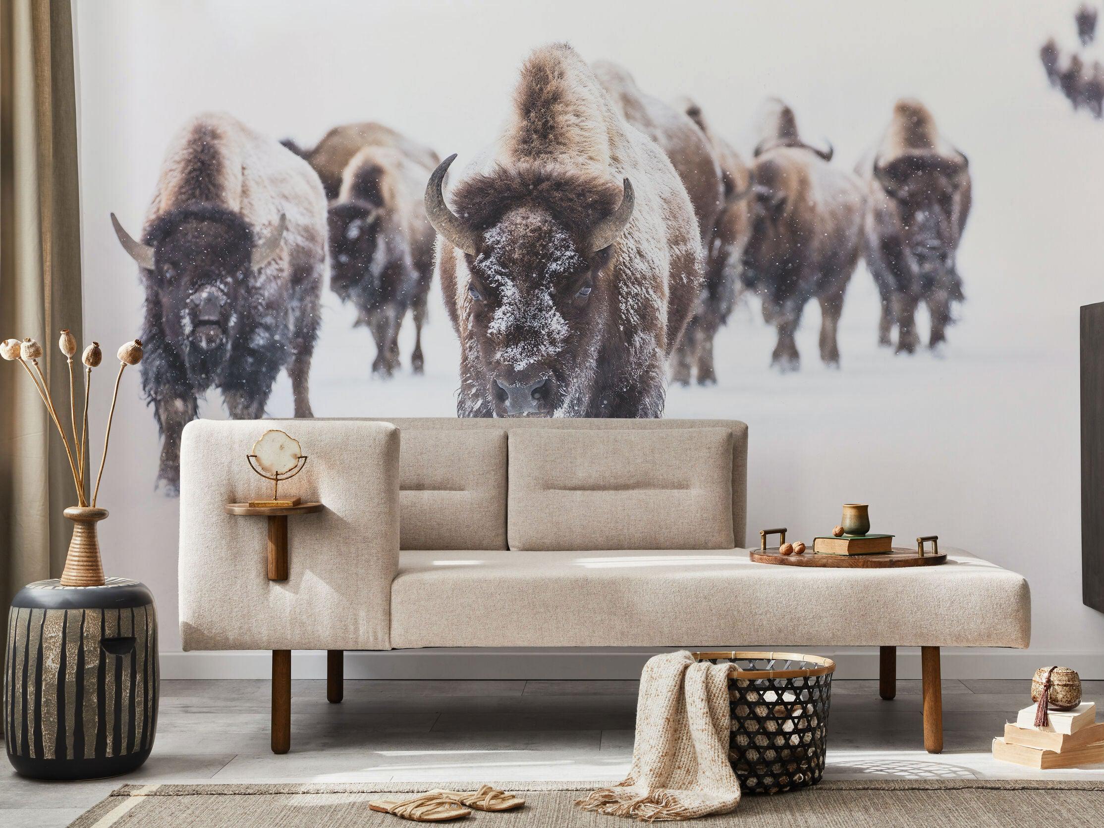 Winter Buffalo Wall Mural-Wall Mural-Eazywallz