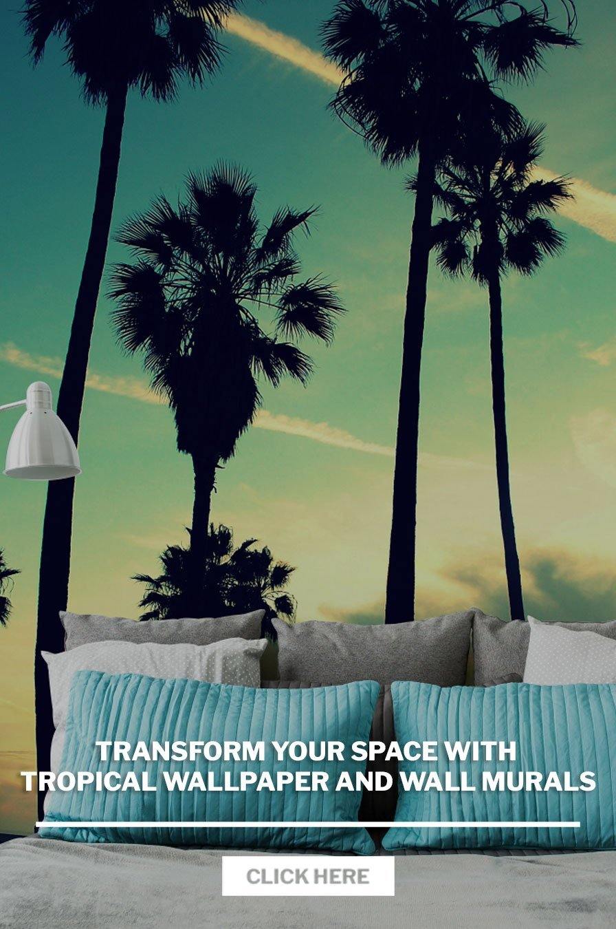 Transform Your Space with Tropical Wallpaper and Wall Murals - Eazywallz