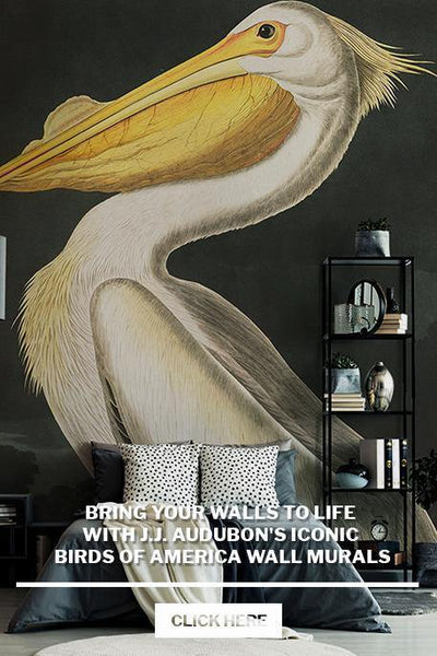 Bring your Walls to Life With J.J. Audubon's Iconic Birds of America Wall Murals
