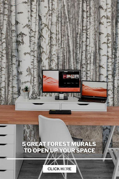 5 Great Forest Murals to Open up your Space