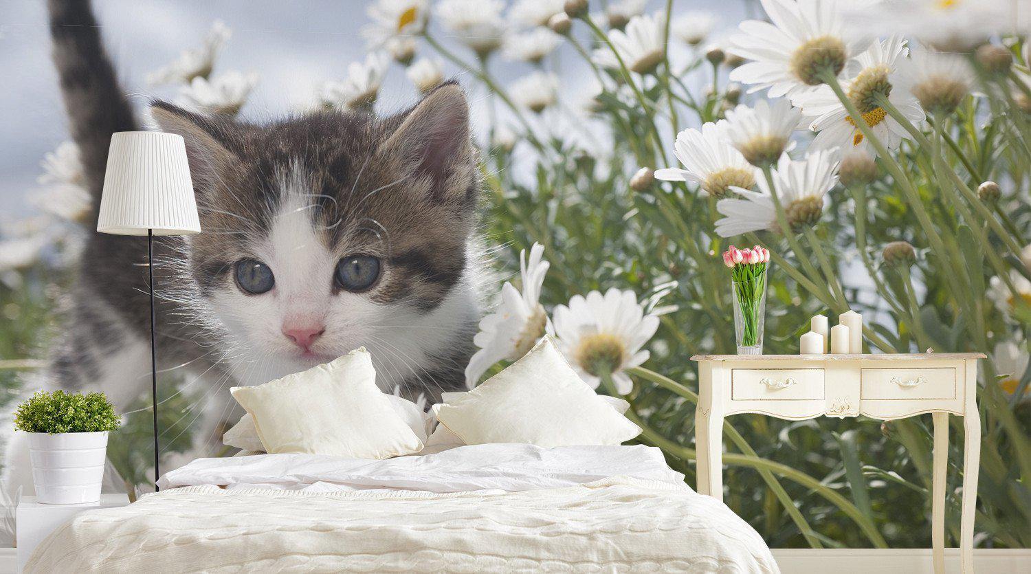 Dogs & Cats Wall Murals - Eazywallz