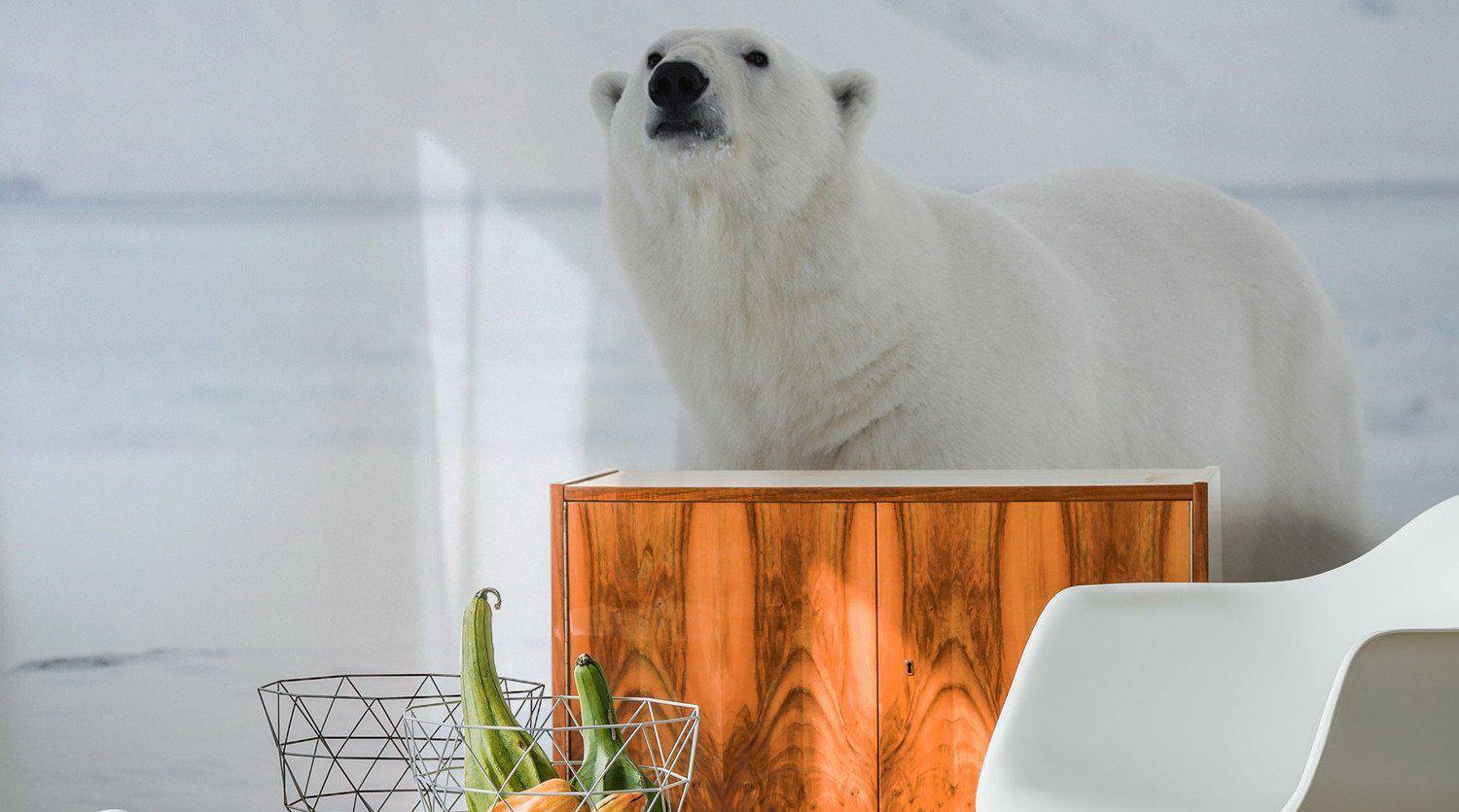 Wild Animal Wall Murals - Eazywallz