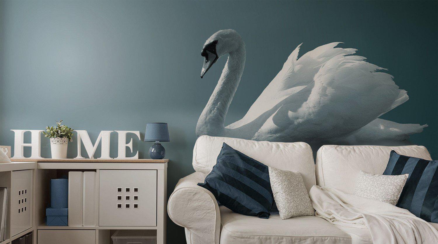 Bird Wall Murals - Eazywallz