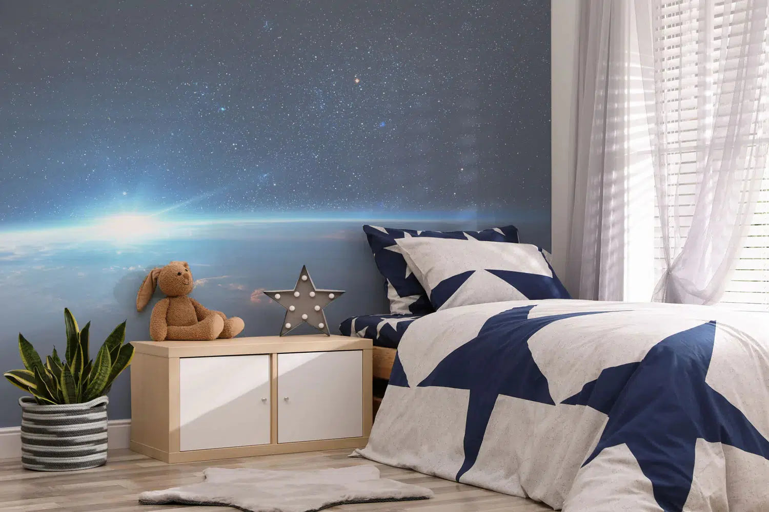 Space Wall Murals