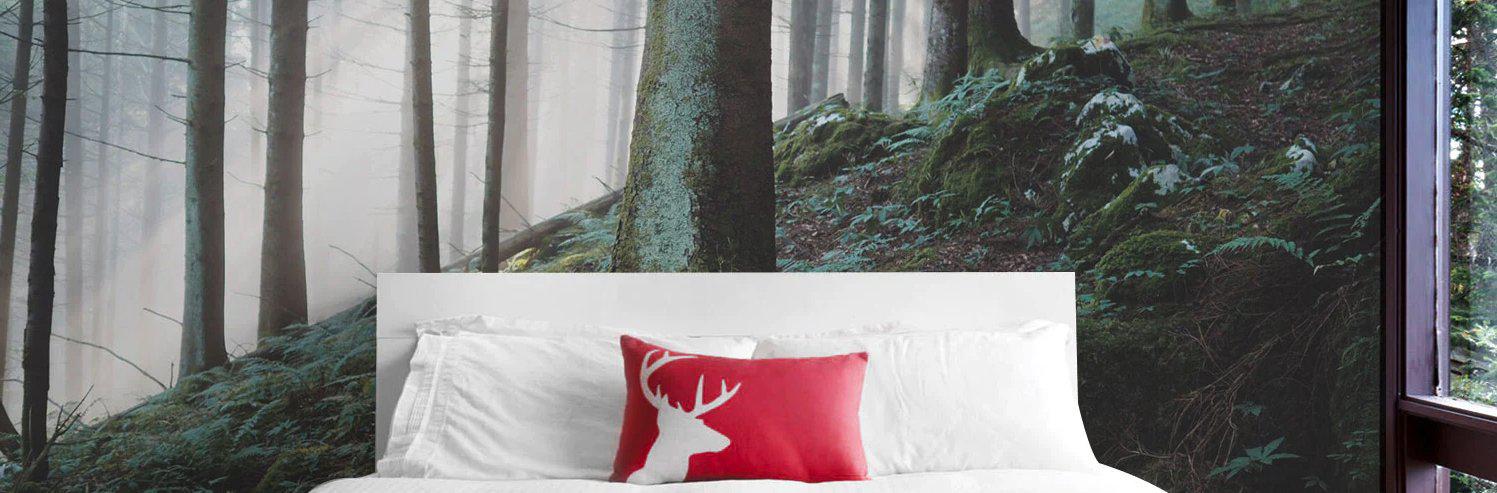 Wall Murals Canada - O'Canada Wall Murals - Eazywallz