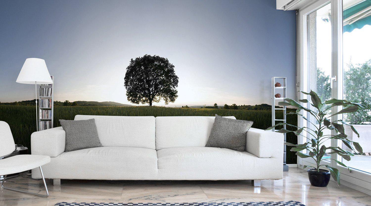 Field Wall Murals - Eazywallz