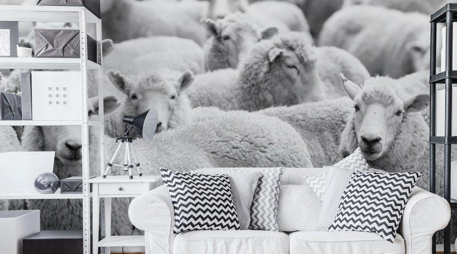 Farm Animal Wall Murals - Eazywallz