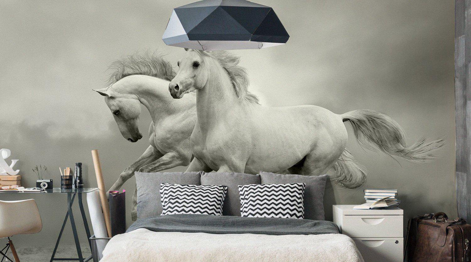 Horse Wall Murals - Eazywallz