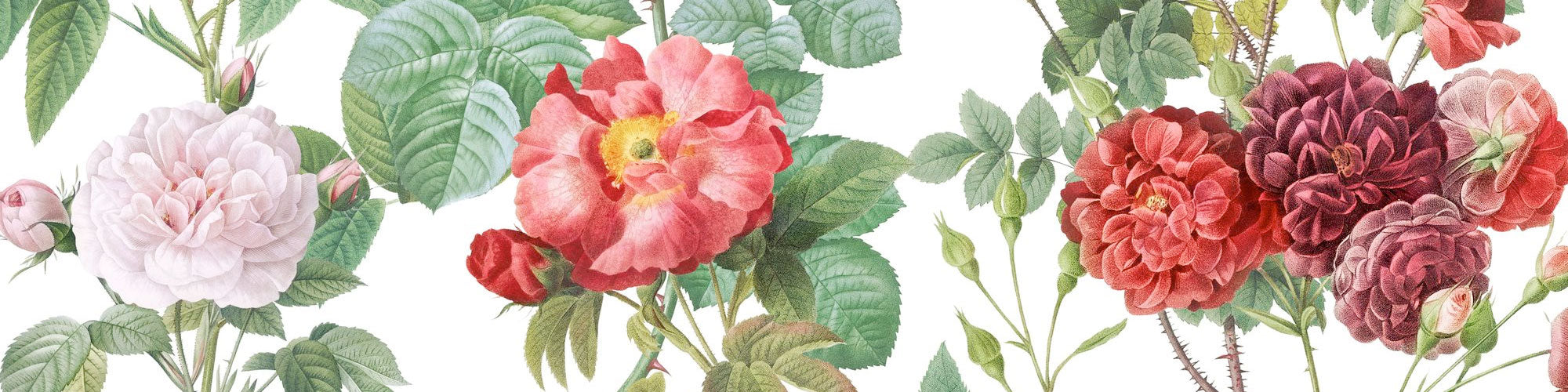 vintage floral wall murals