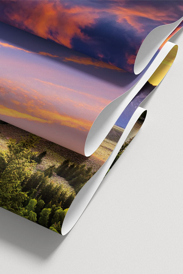 Grand Teton Wall Mural