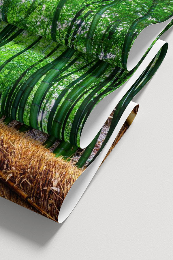 Bamboo grove Wall Mural