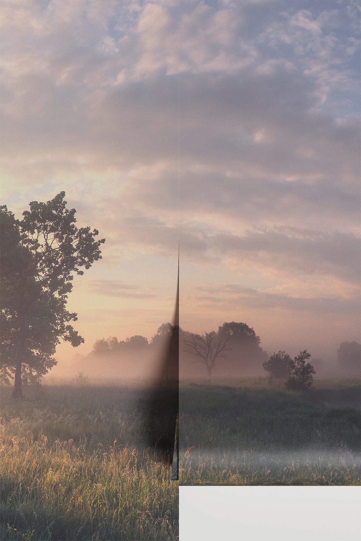 Early Morning Fog Wall Mural