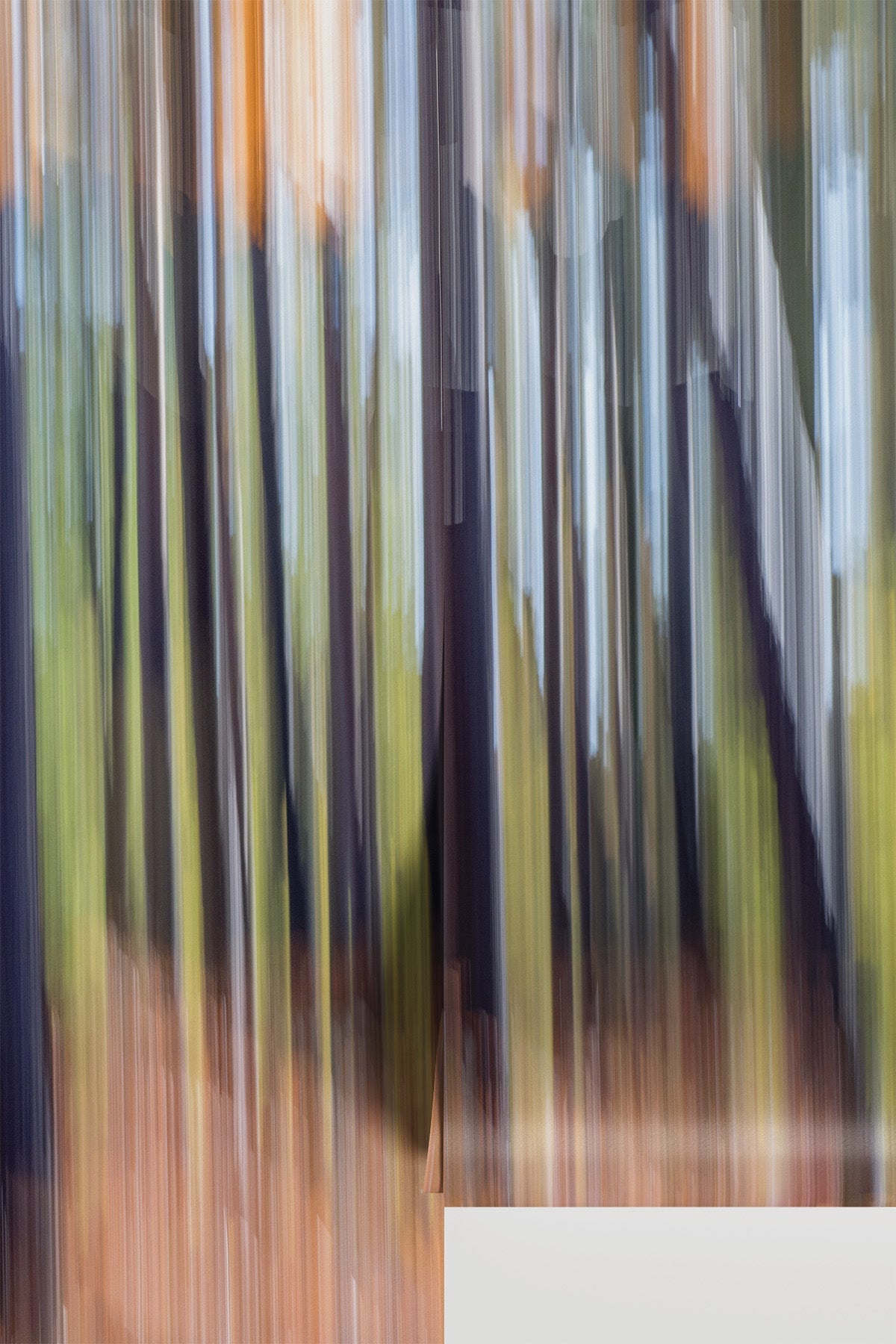 Abstract Motion Forest 2 Wall Mural - full design view - Eazywallz