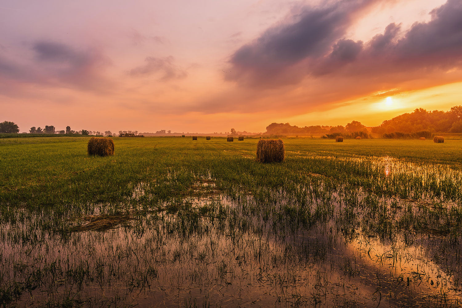 Autumn Sunrise Over Hay Field Wall Mural