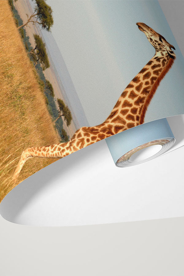 Giraffe walking through the grasslands Wall Mural