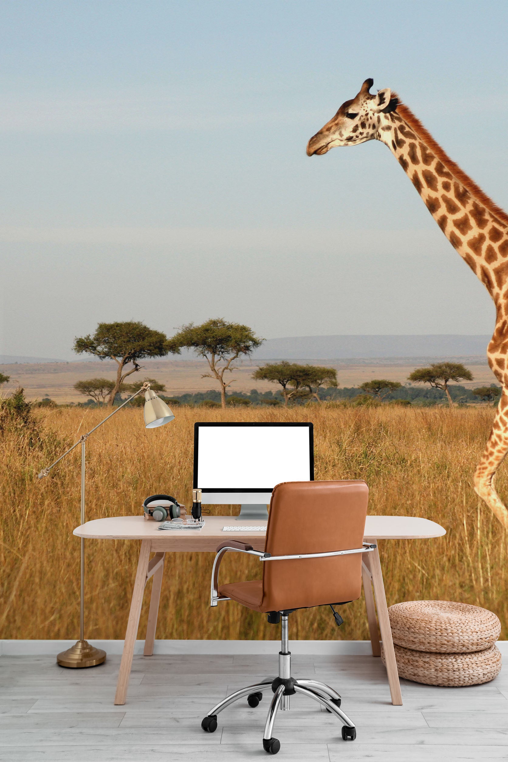 Giraffe walking through the grasslands Wall Mural