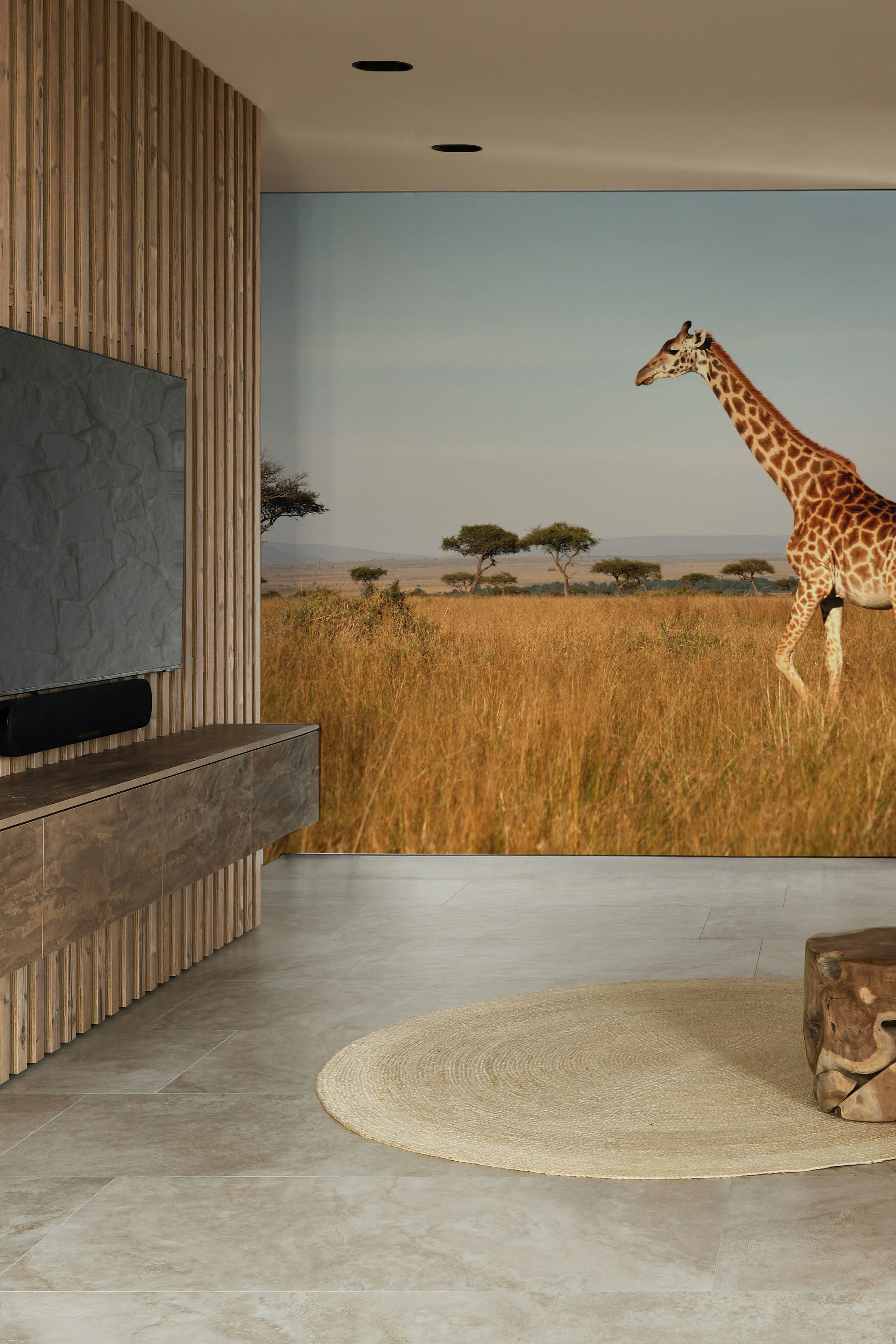 Giraffe walking through the grasslands Wall Mural