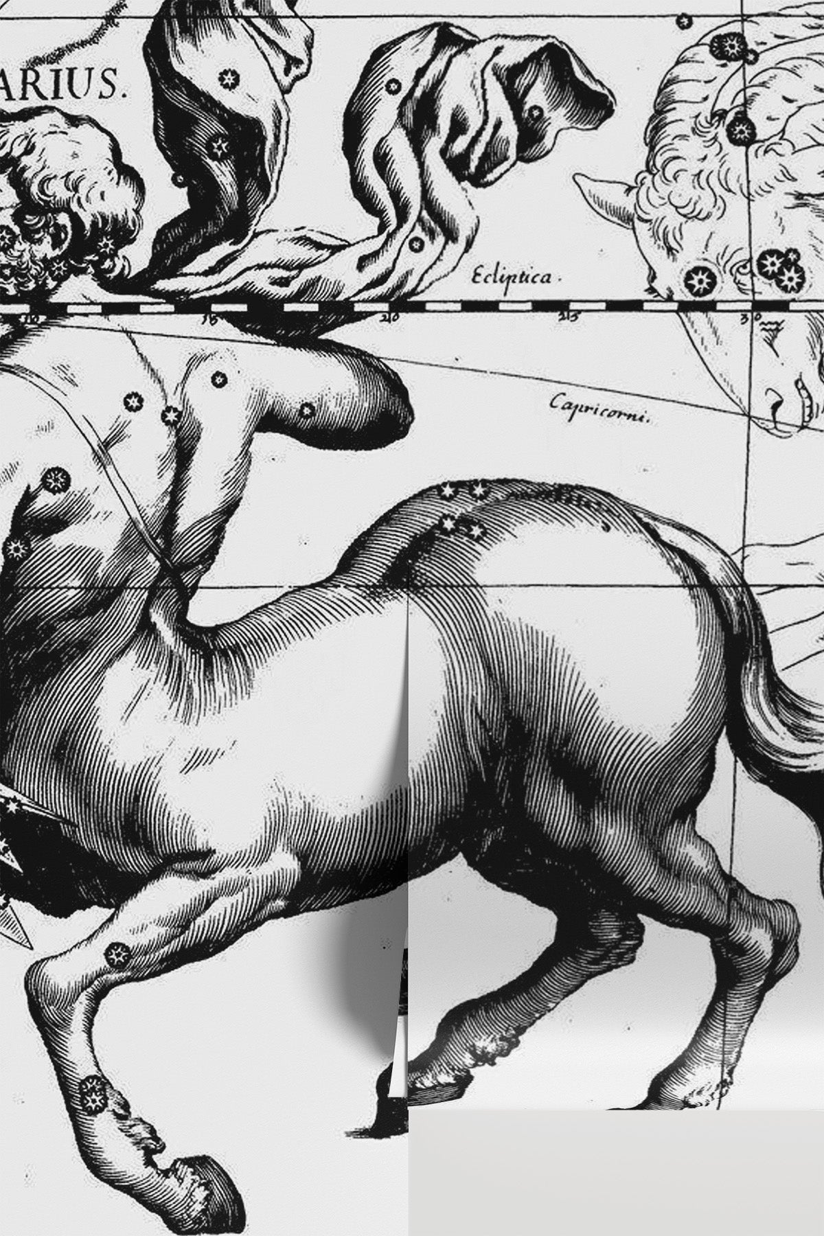 Sagittarius Constellation Map