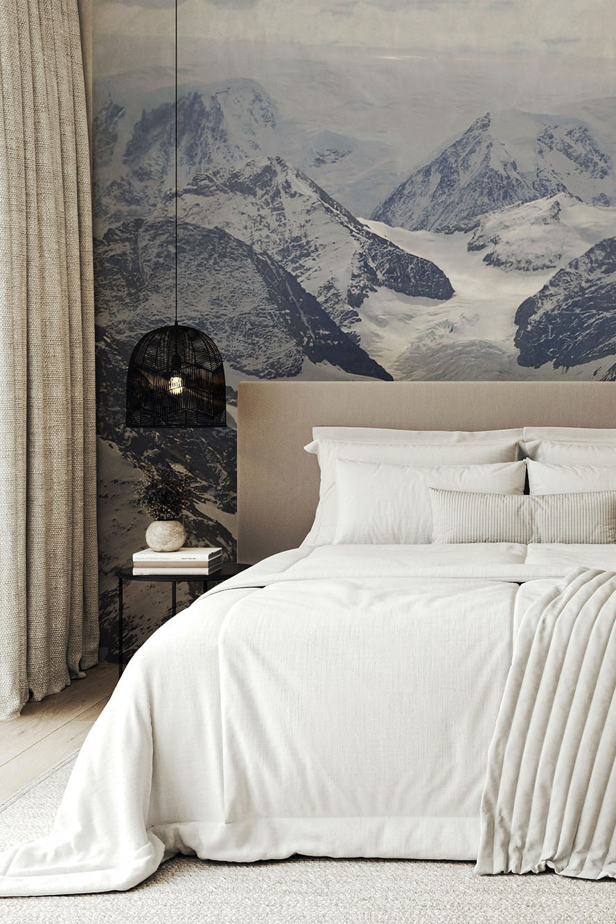 Antarctic mountains Wall Mural