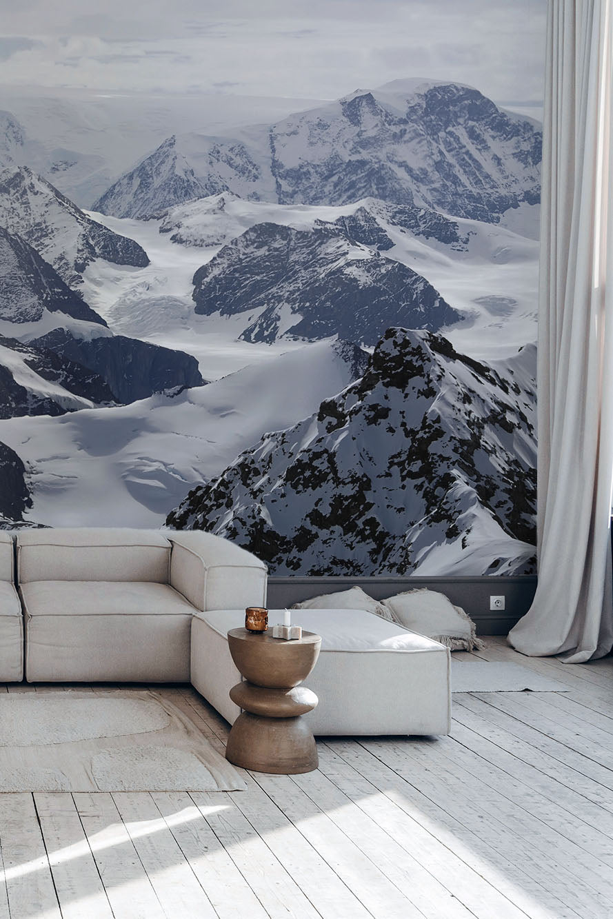 Antarctic mountains Wall Mural