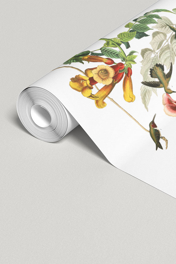 Vintage Hummingbird Wallpaper Mural