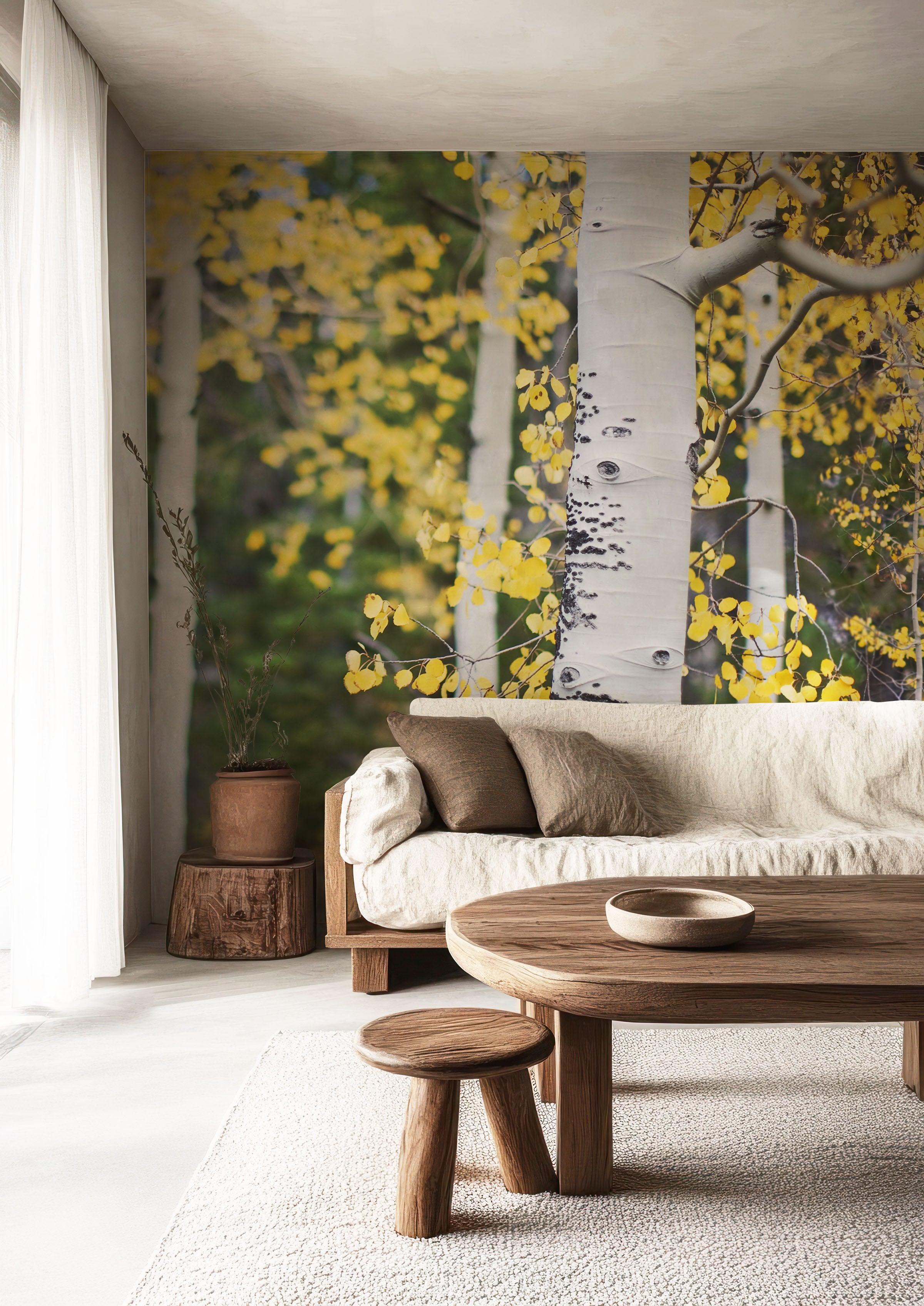 Aspen Trees wall Mural Wall Mural
