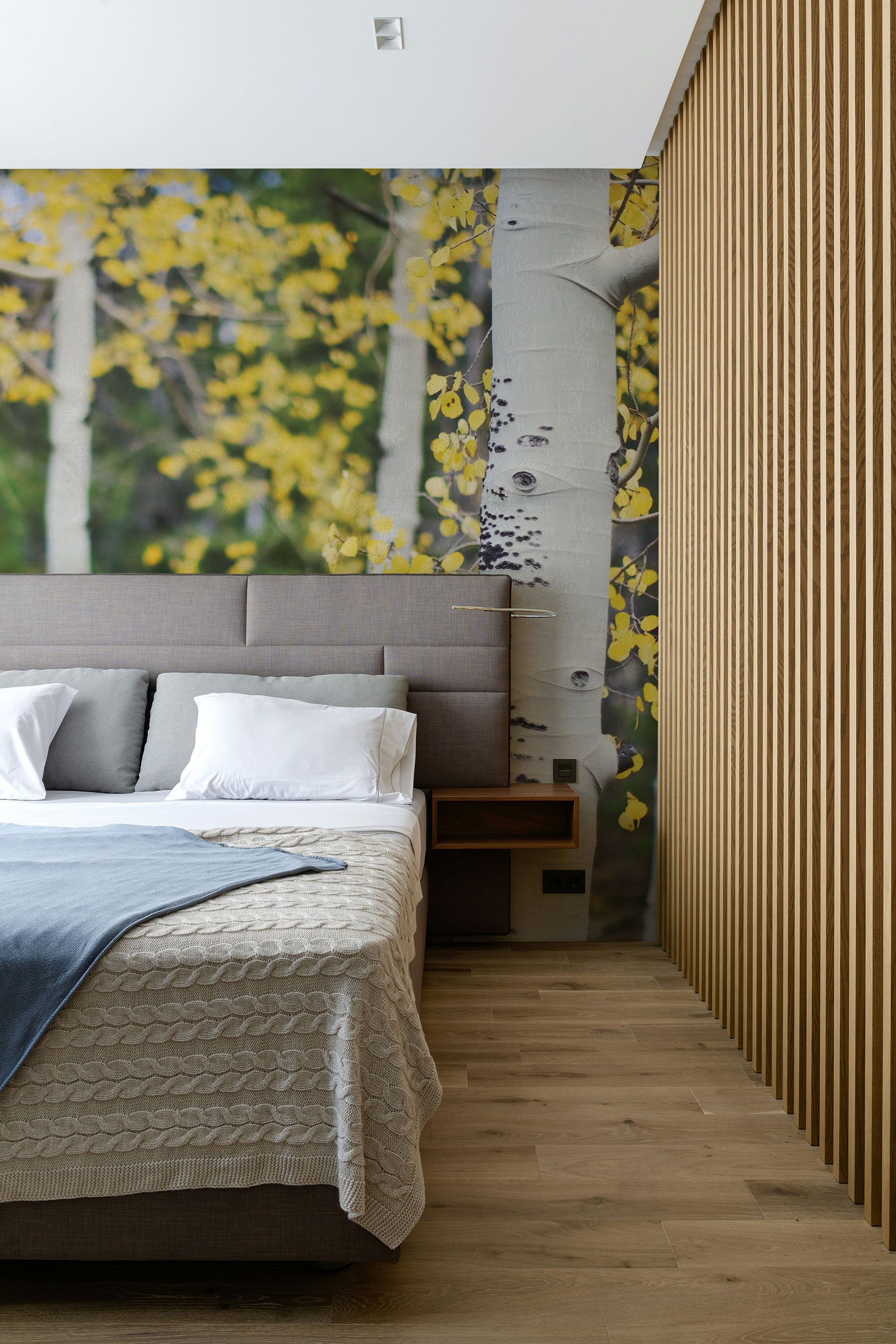 Aspen Trees wall Mural Wall Mural