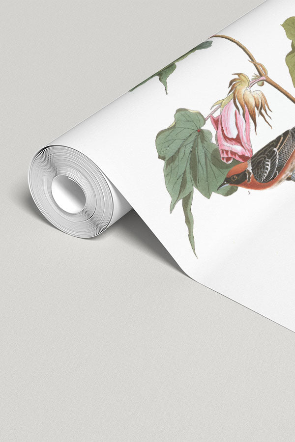 Bay Breasted Warbler Bird Wall Mural
