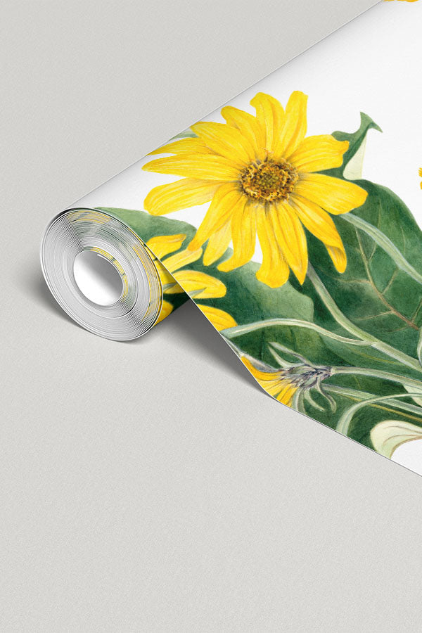 Vintage Sunflower Wallpaper Mural