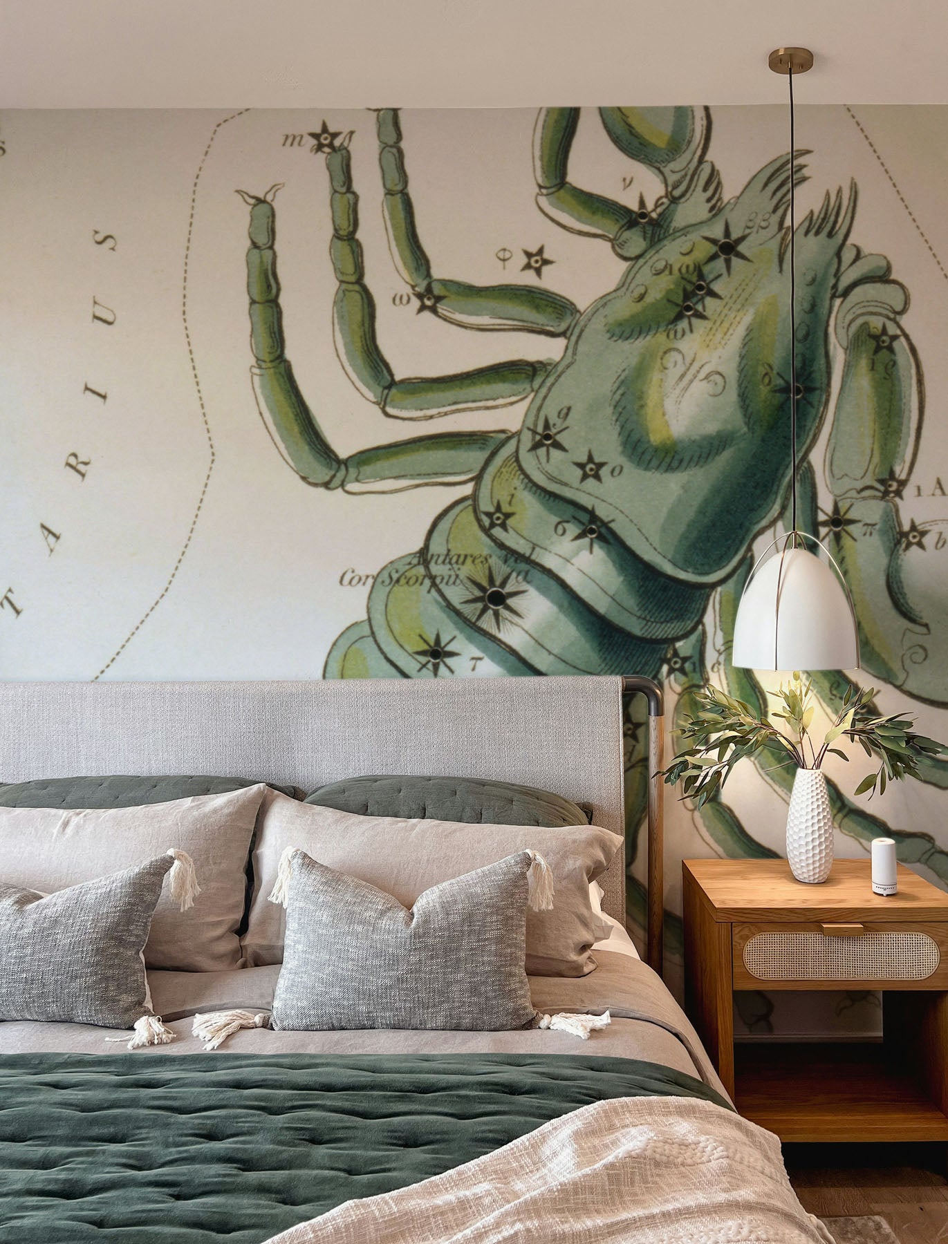 Scorpio Wall Mural
