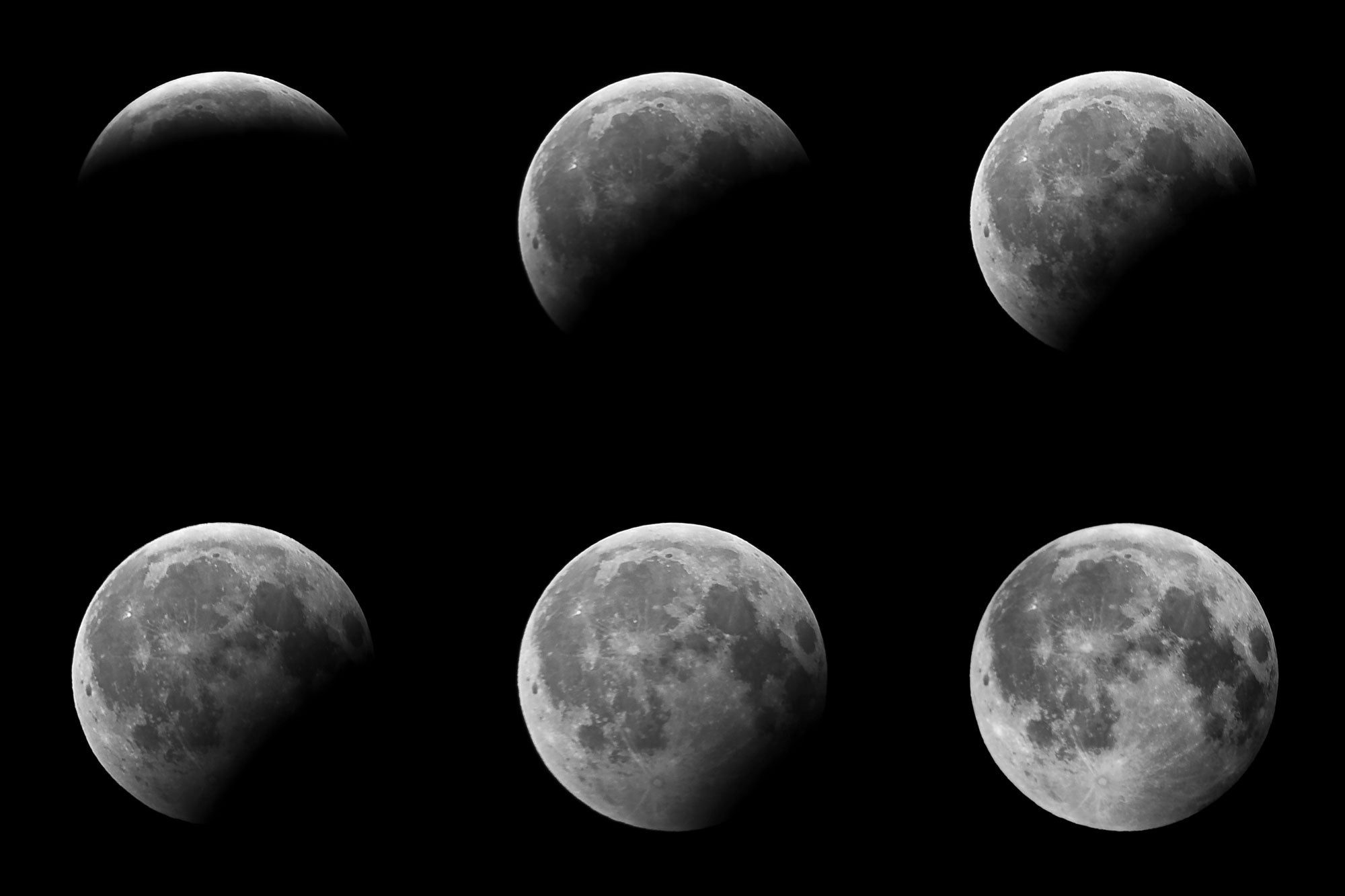 Moon Phase Wall Mural