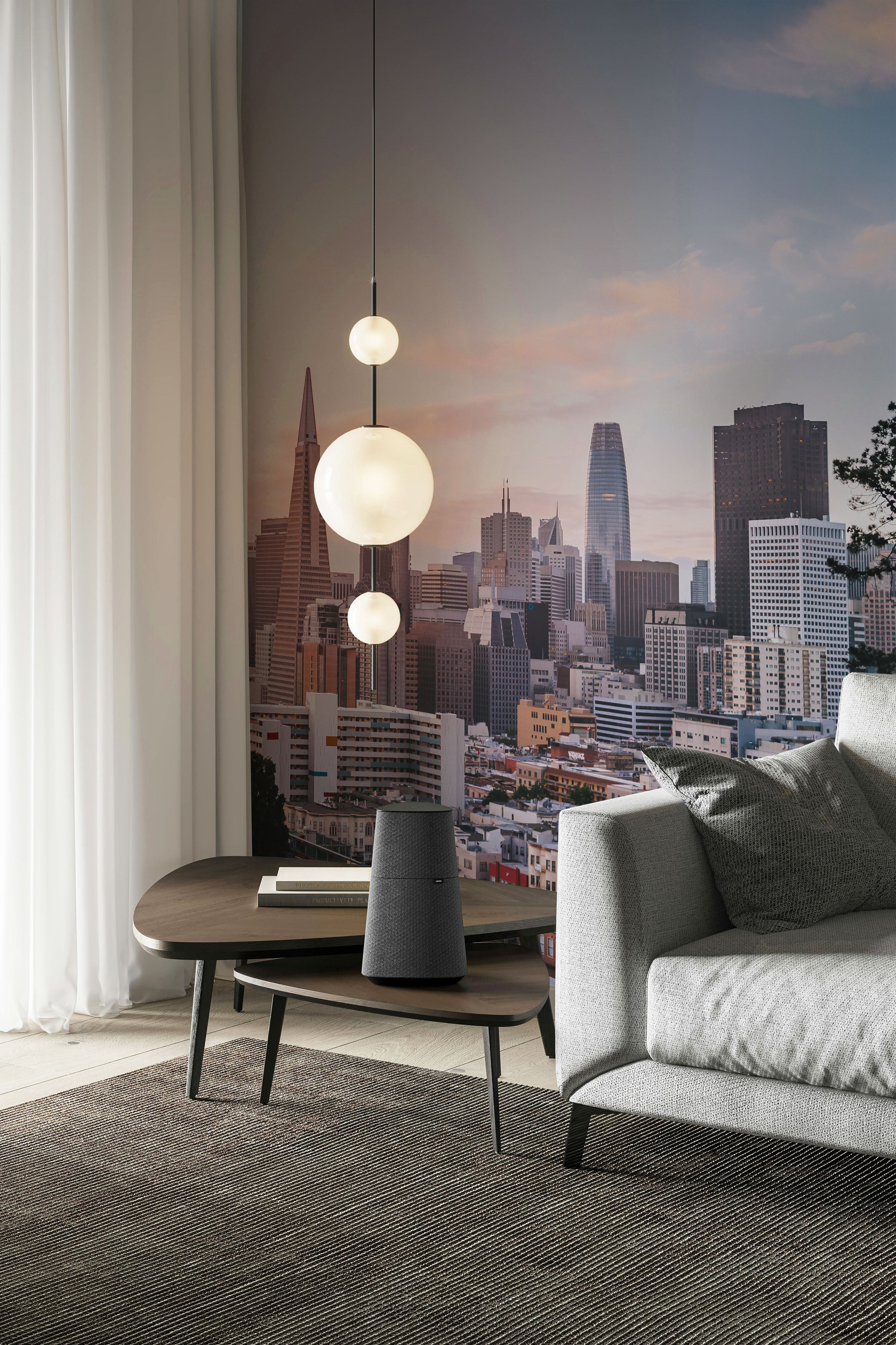 San Francisco California Cityscape