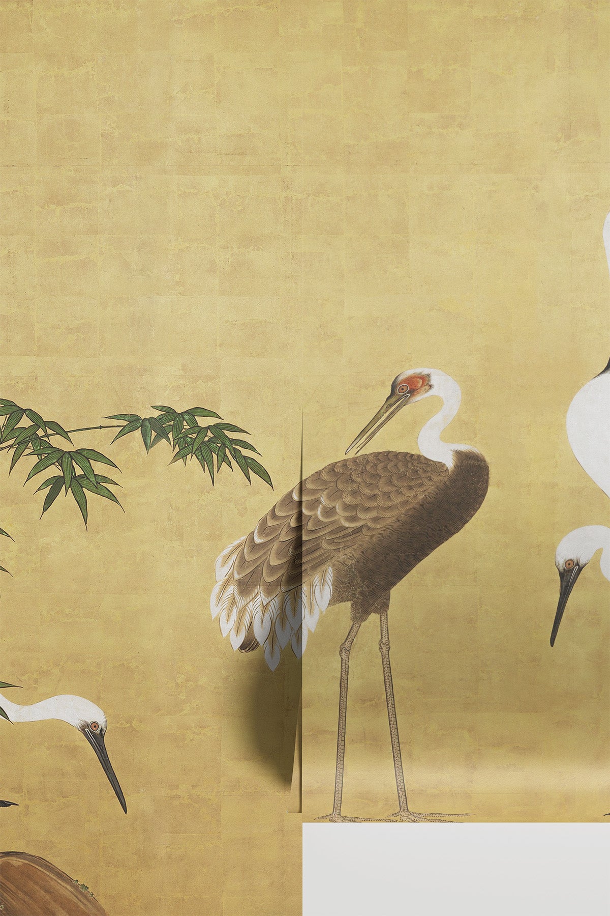 Serene Japanese Cranes