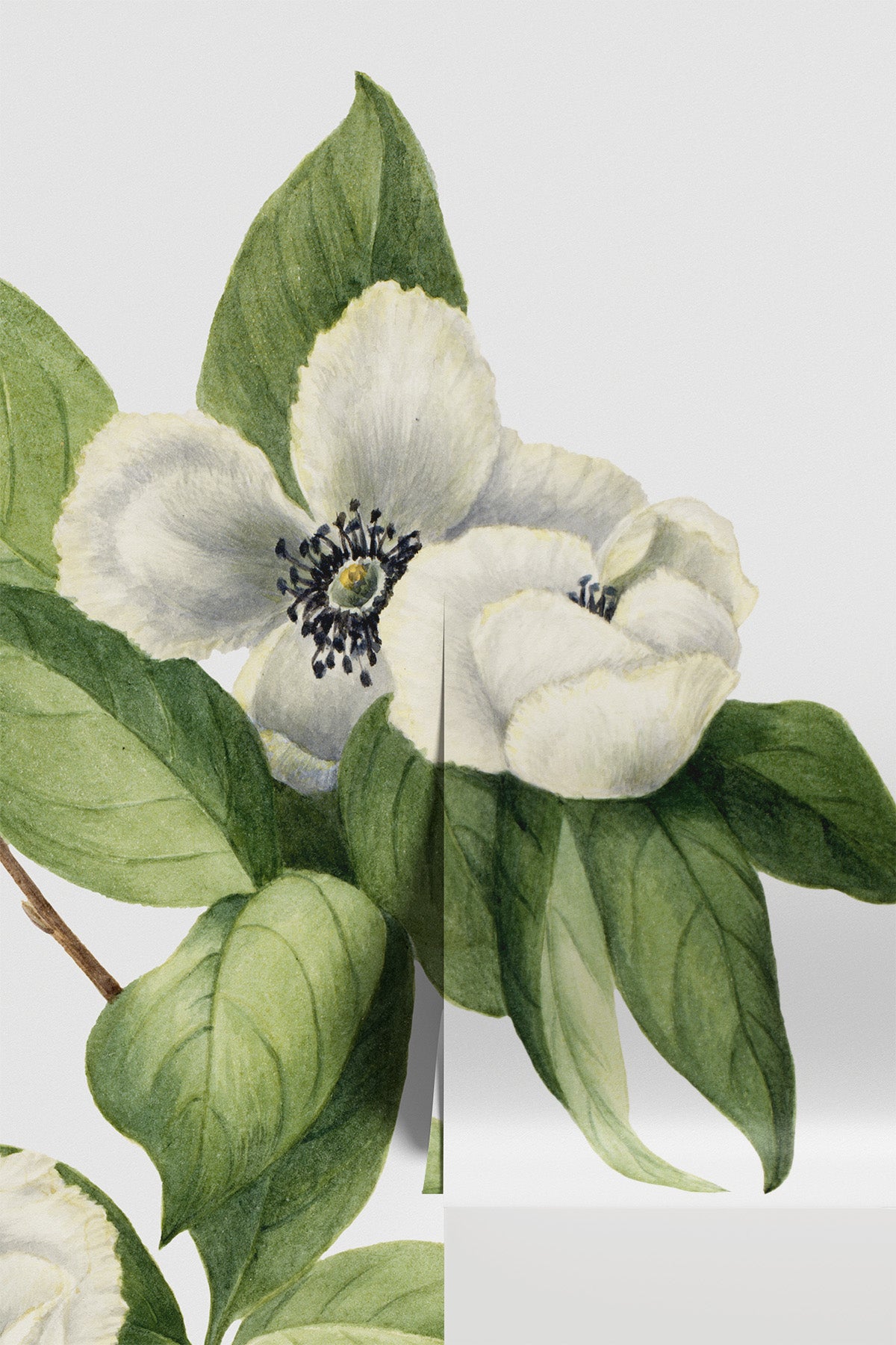 Vintage White Floral Mural Wallpaper