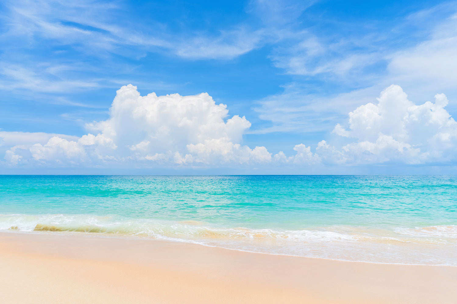 Blue Sky Tropical Beach Wall Mural