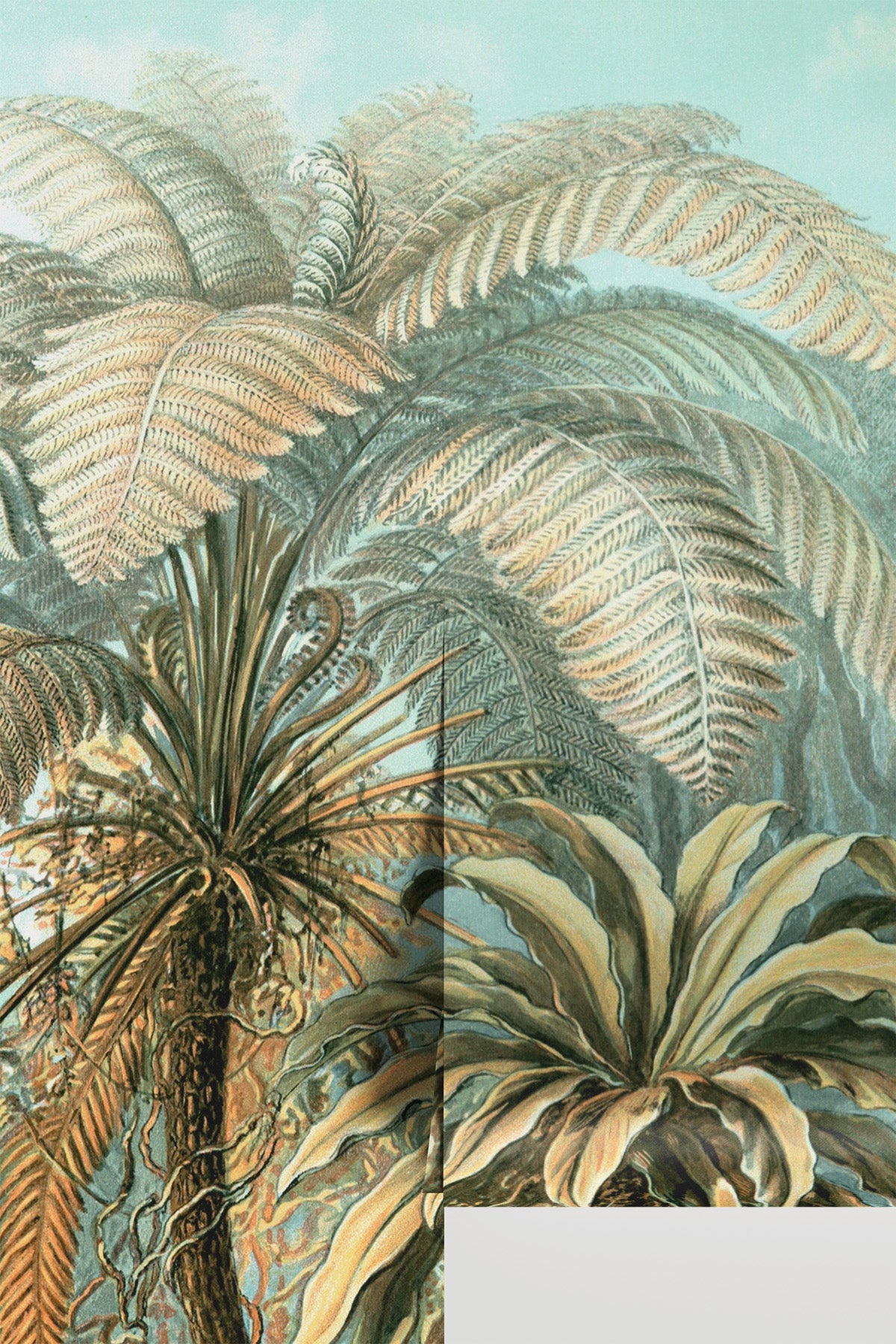 Vintage Jungle Illustration Wall Mural