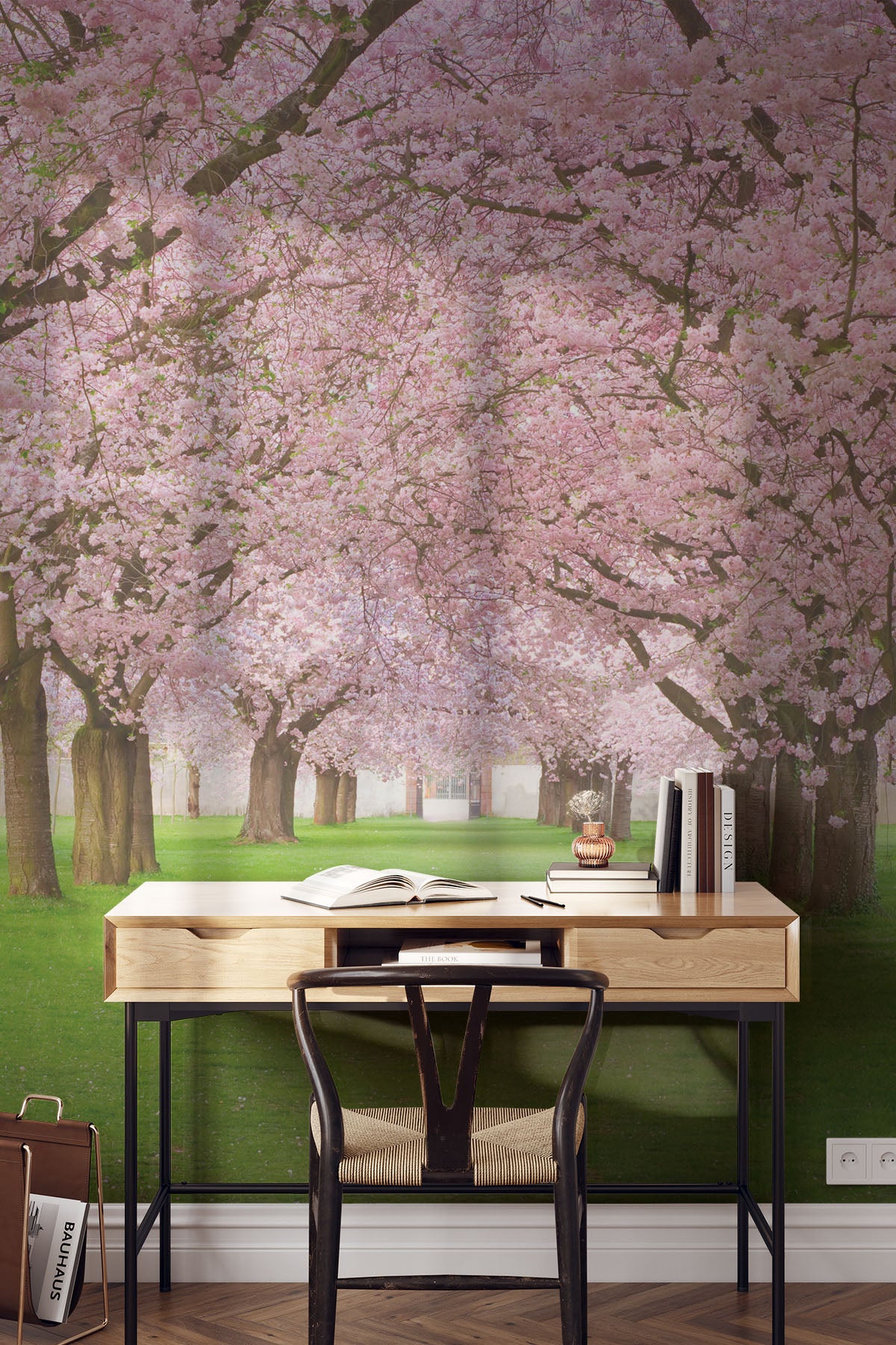 Rows of Beautifully Blossoming Cherry Trees Wall Mural