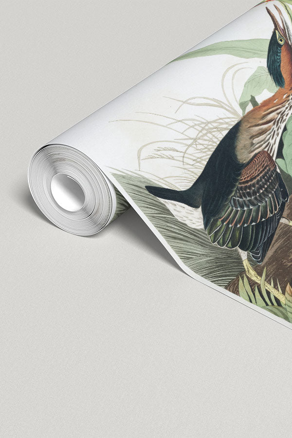 Green Heron Wall Mural