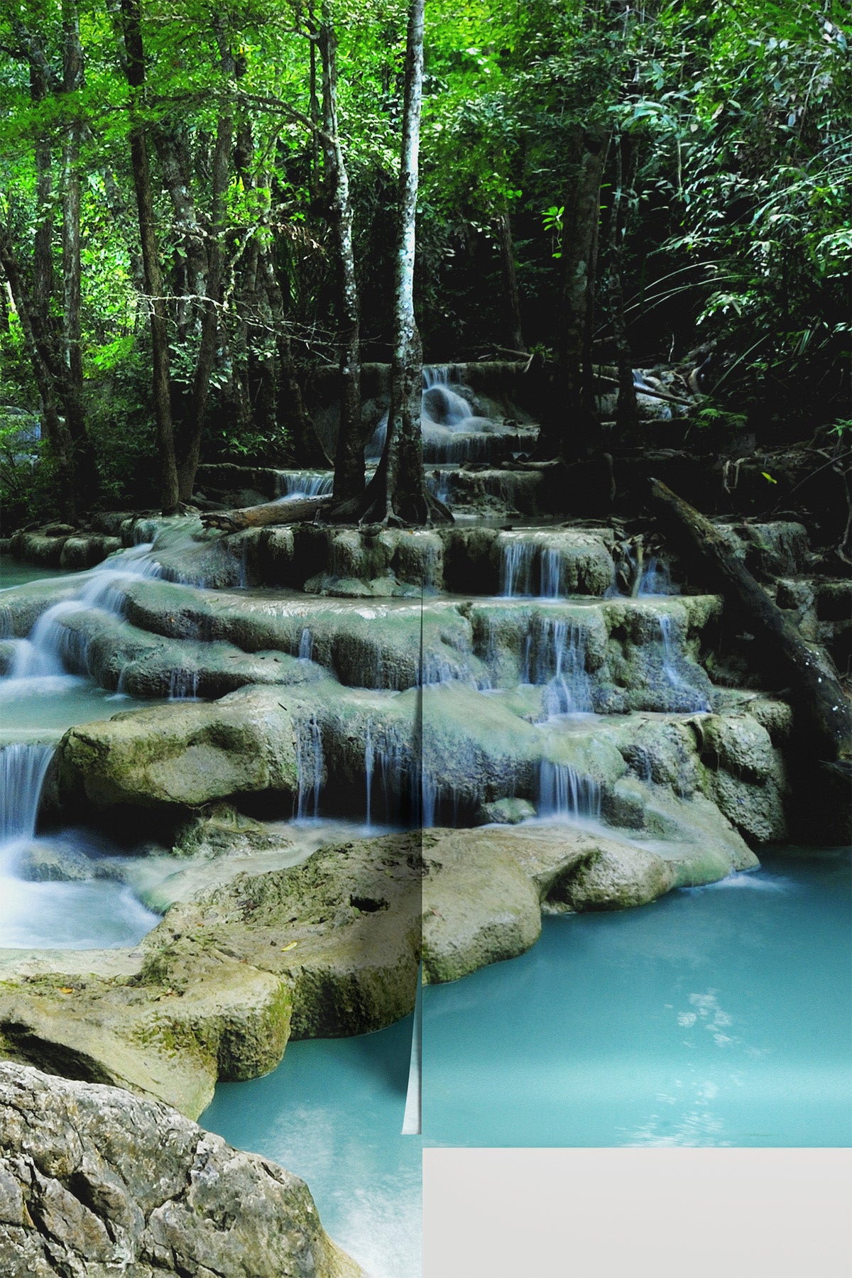 Deep forest waterfall Wall Mural