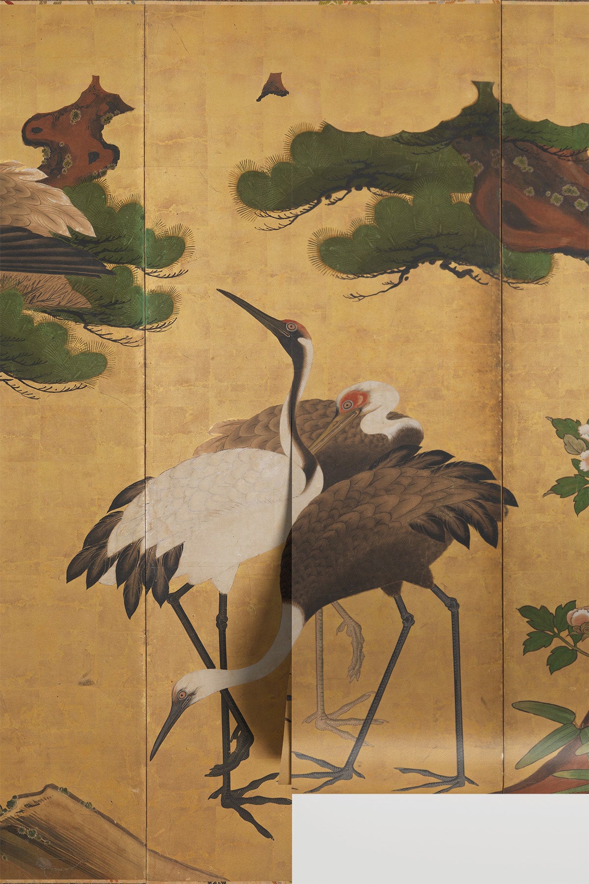 Majestic Crane Family