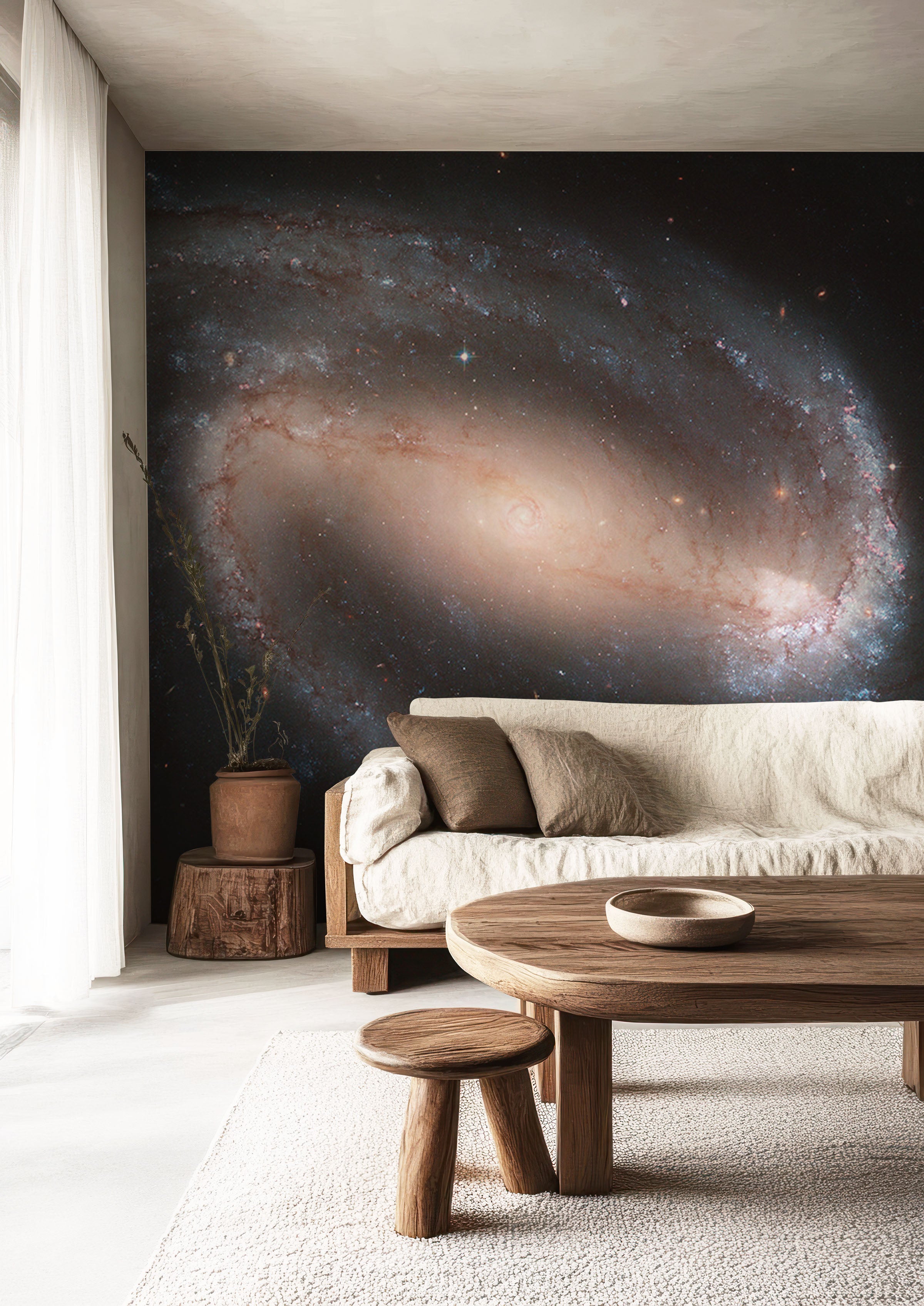 Barred Spiral Galaxy