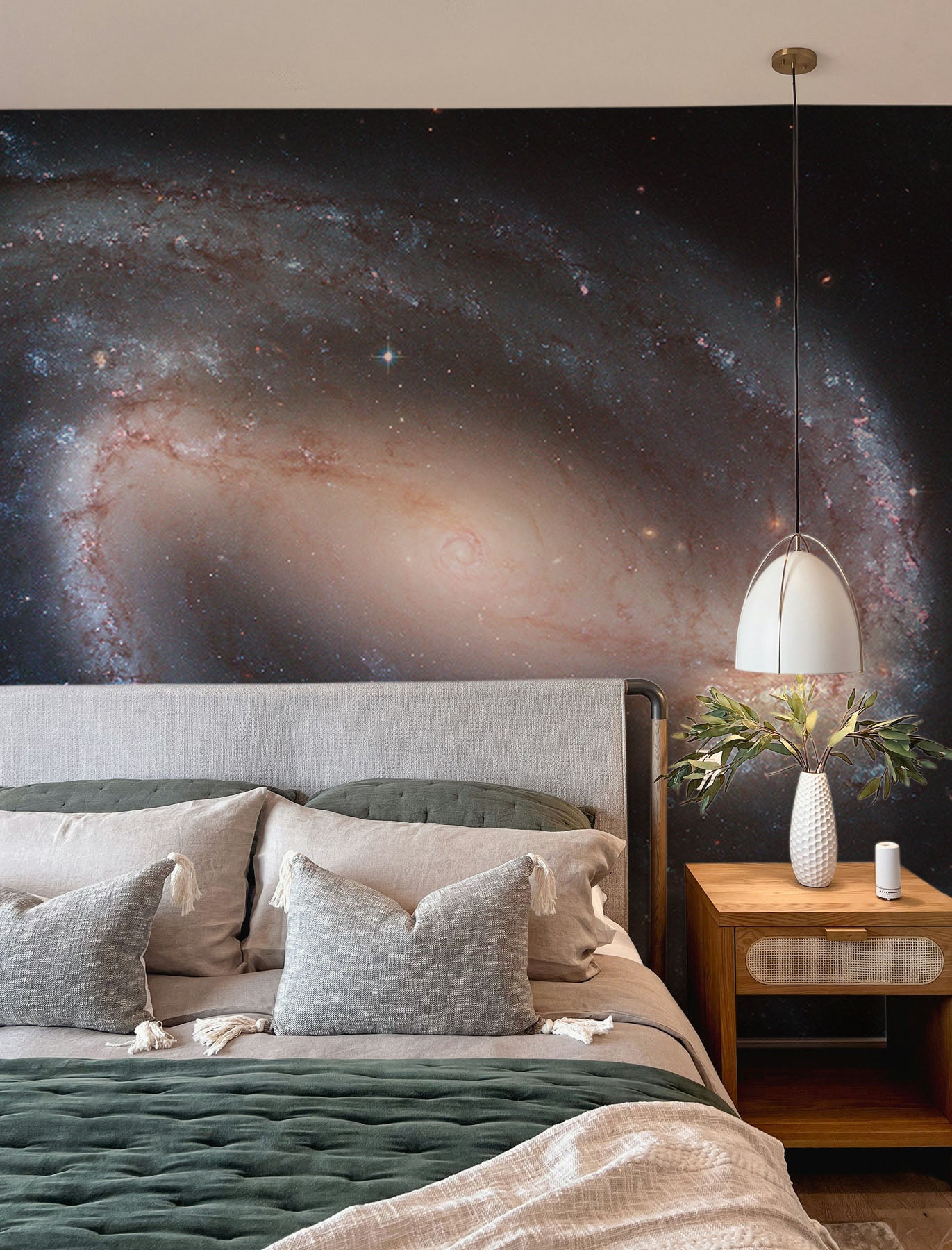 Barred Spiral Galaxy