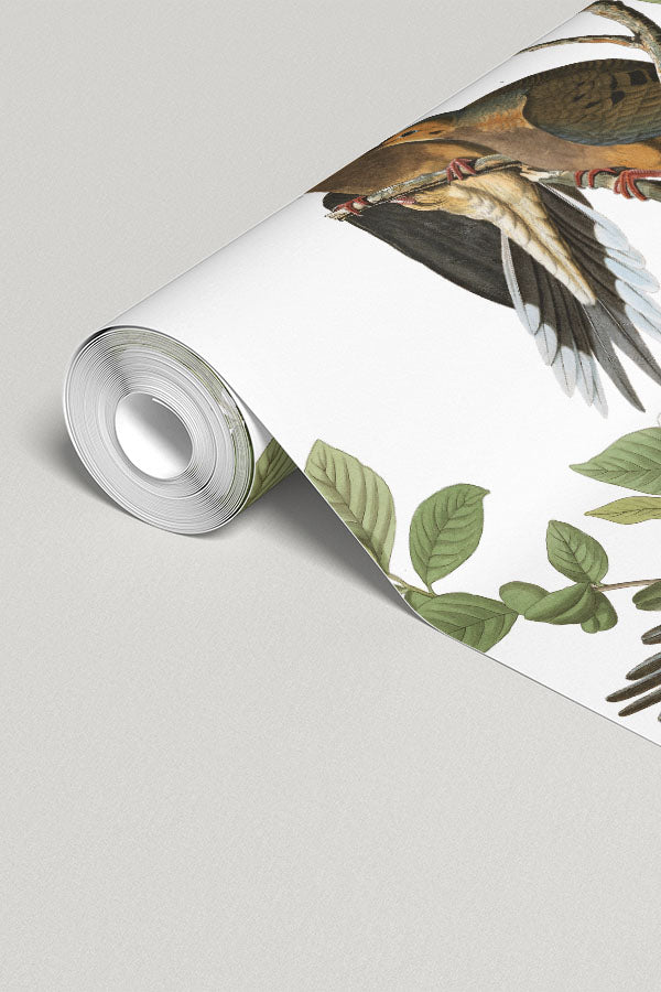Carolina Pigeon Wall Mural