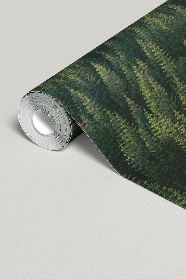 Perfect Tree Forest Line Wall Mural