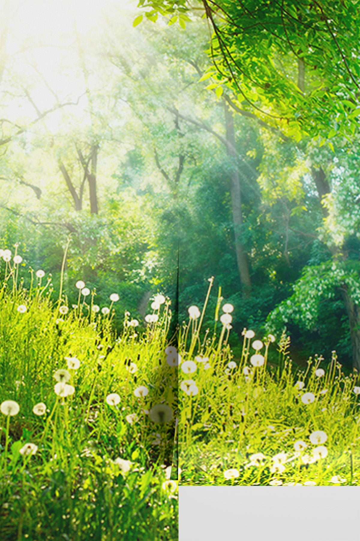 Green Spring Forest Wall Mural